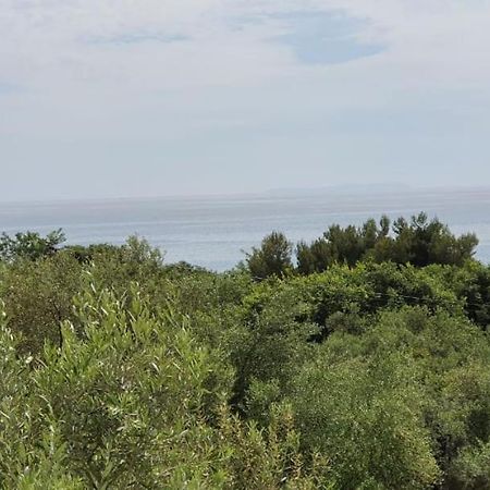 Seaview Apartment 보르쉬 외부 사진